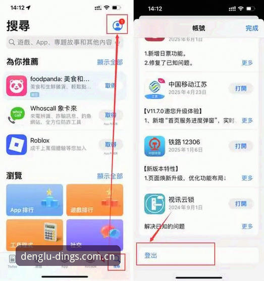 鼎盛DINGS下载与官网注册对比:新手选择哪个入口更省心?